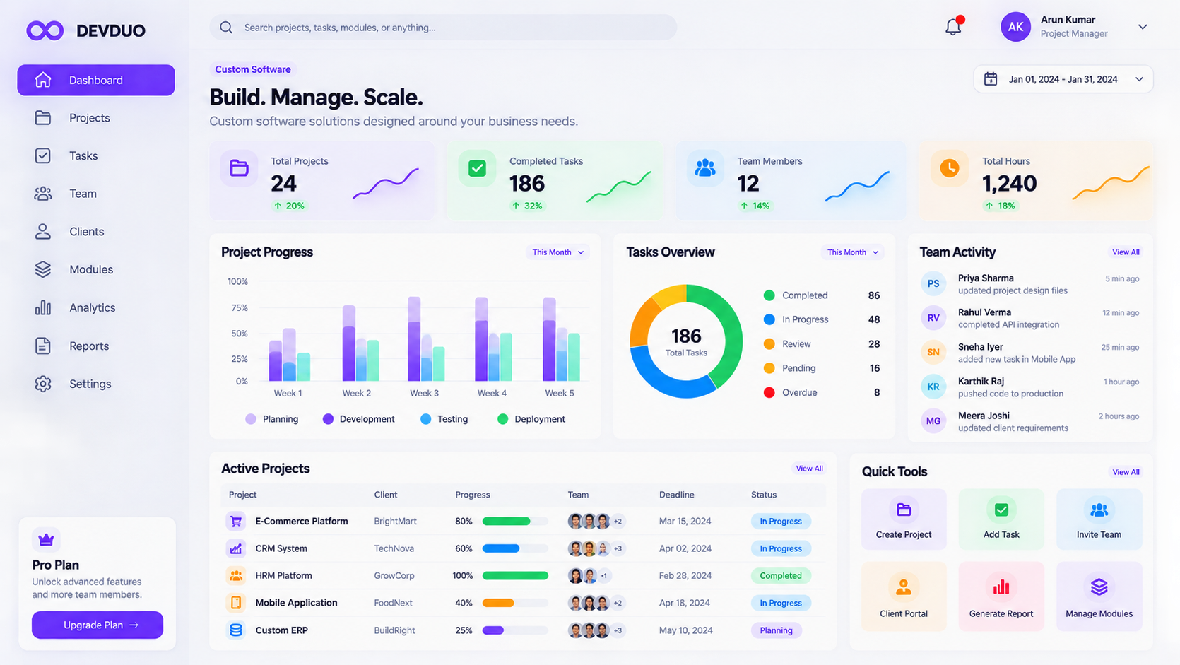 DEVDUO custom software project dashboard
